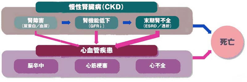 【図18】慢性腎臓病（CKD）