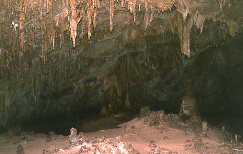 （カールズバッド洞窟群国立公園）あまり長いツアーに参加しなくても洞窟の様子は分かると思います。