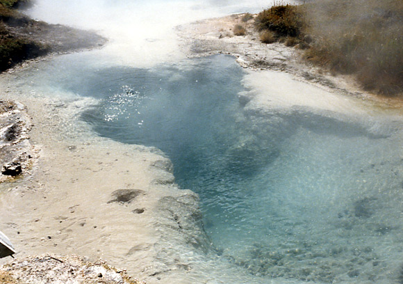 （イエローストーン国立公園 part1）ここでは大小さまざまの温水の流れが Yellowstone Lake に流れ込んでいきます。