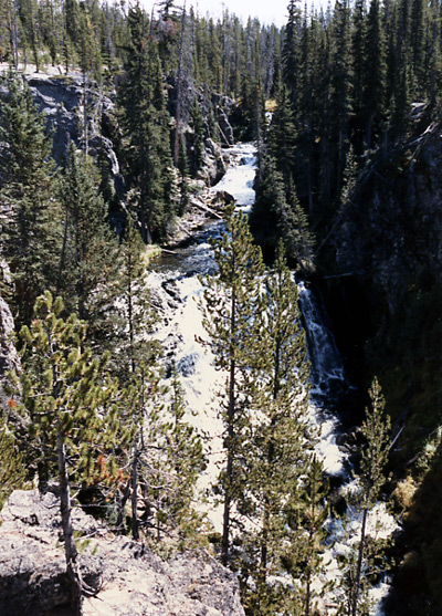 （イエローストーン国立公園 part1）ここから道をはずれて Shoshone Lakeに向かう途中に Kepler Cascadeという滝がありました。