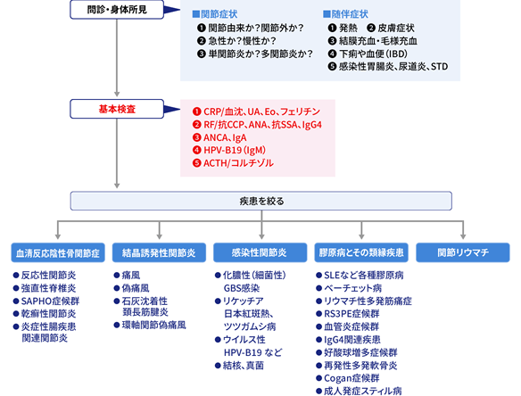 関節痛診断のための検査の進め方