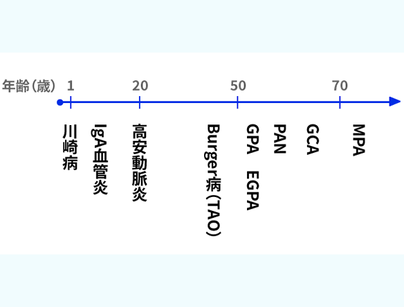 血管炎を見逃さない ≫ それぞれの血管炎および類縁疾患の特徴