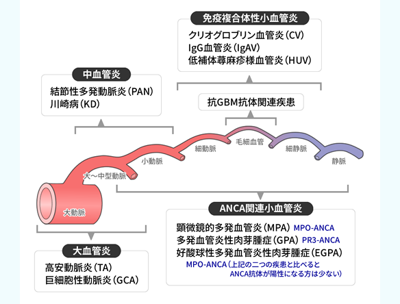 実臨床で注意したい出血傾向