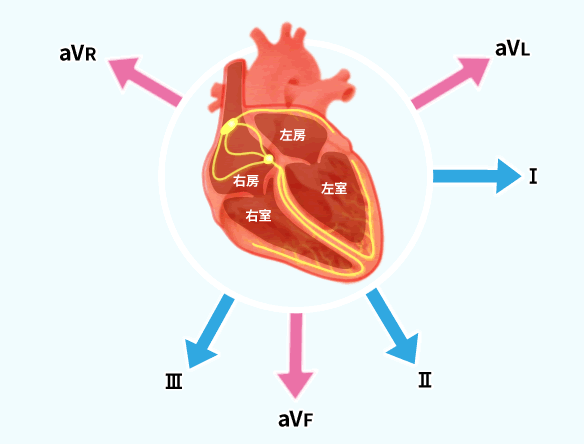 心電図読解のポイント