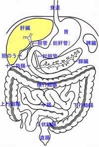 腹痛