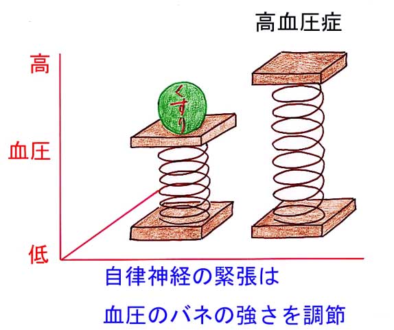 血圧と自律神経