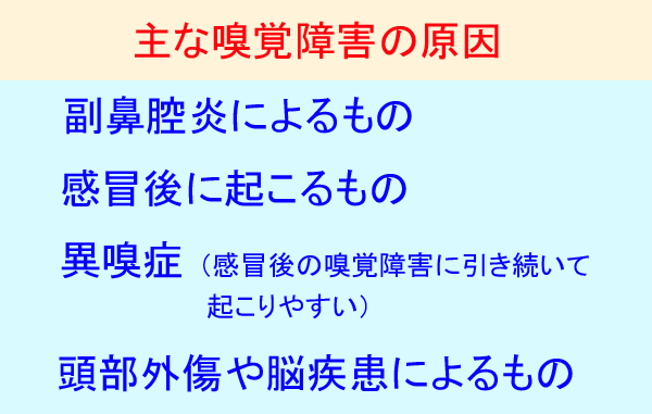 主な嗅覚障害の原因