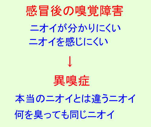 感冒後の嗅覚障害⇒異嗅症