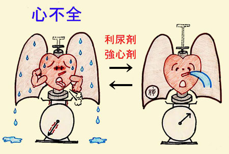 よく見られる大人の病気