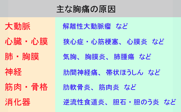 主な胸痛の原因