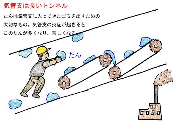 気管支は長いトンネル