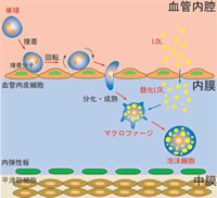 次へ