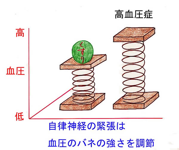 【図17】自律神経と高血圧