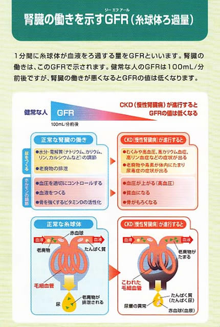 【図20】腎臓の働きを示すGFR(糸球体ろ過量)