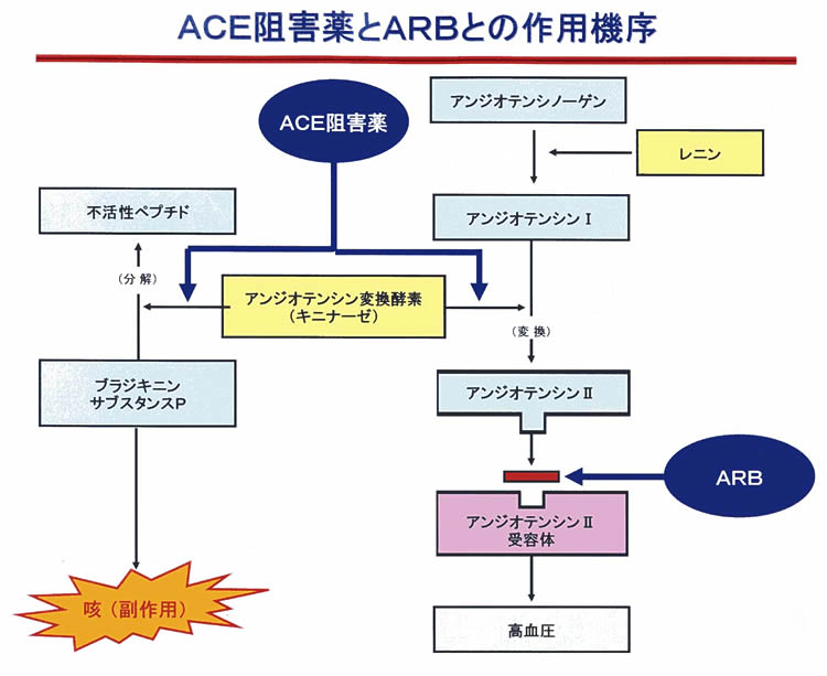 【図9】ACE阻害薬とARBとの作用機序