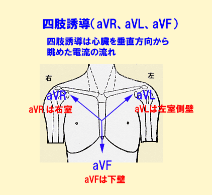 四肢誘導（aVR、zVL、aVF）