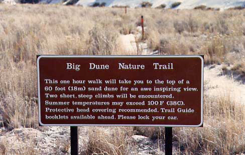 （ホワイトサンズ国定公園）Big　Dune　Nature　Trail　という散策コースがあり、