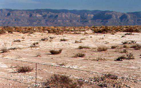 （ホワイトサンズ国定公園）出たあたりの荒野には雪のような白い部分があちこちに見えます。砂漠の白い砂の名ごりではなく、これは乾燥した大地の上に集まった塩分です。