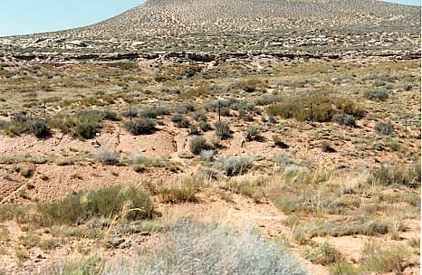 (Four State Corners)160号線の周囲は荒涼としており、低い灌木となだらかな丘陵状の荒野が延々と続きます。