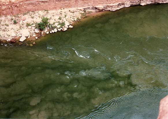 （グランドキャニオン国立公園）Marble　Canyon と名付けられた小さな渓谷が眼下に広がります。青い透きとおった水とうず状の川底が印象的でした。