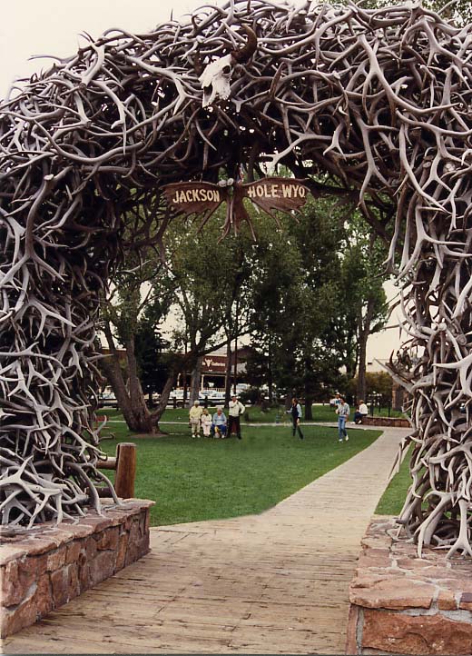 （ジャクソン）町の公園にはアメリカで最大というエルクのアーチがありました。