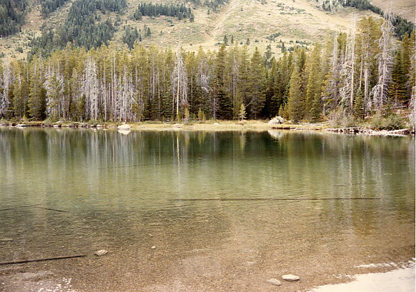 （グランドティトン国立公園）String Lake に向かう途中の道から Grand Teton 山を見ることができましたが、
山腹には雲がかかっていましたが、山頂をかいま見ることができました。