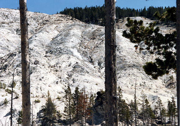 （イエローストーン国立公園 part2）Mammoth Hot Springs