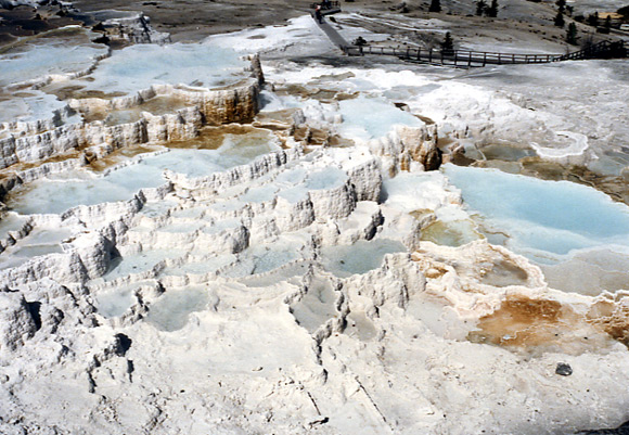 （イエローストーン国立公園 part2）Mammoth Hot Springs