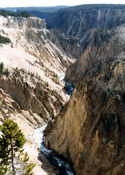 （イエローストーン国立公園 part2）この渓谷はYellowstone川の流れによって削られてできたものですが、多彩な色調がこの渓谷を有名にしています。