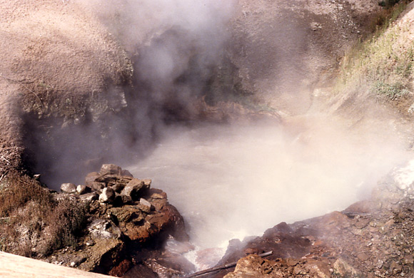 （イエローストーン国立公園 part2）Mud Volcanoは泥状の温泉が特徴です。