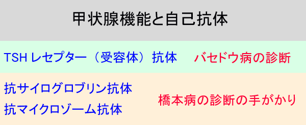 甲状腺機能と自己抗体