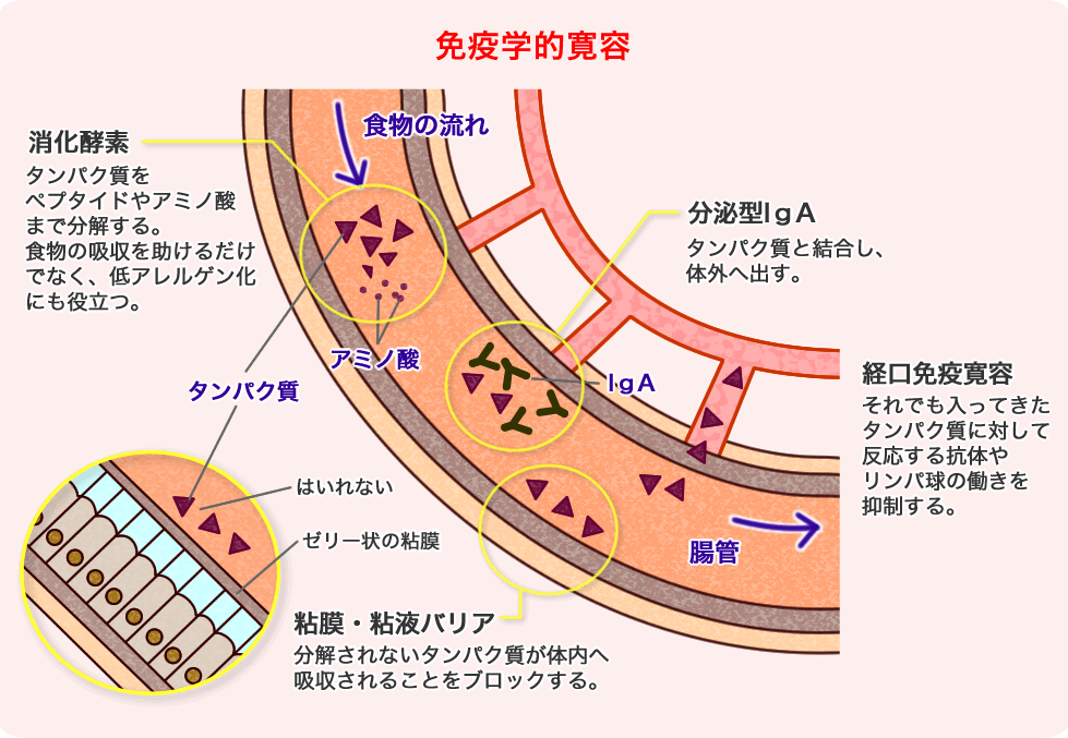 前へ