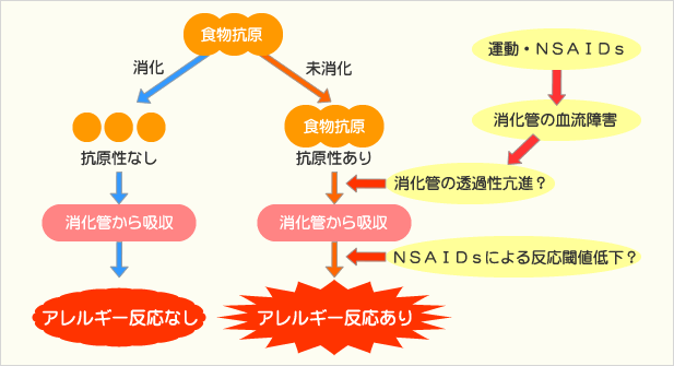 DEIAにおける発症機序（仮説）