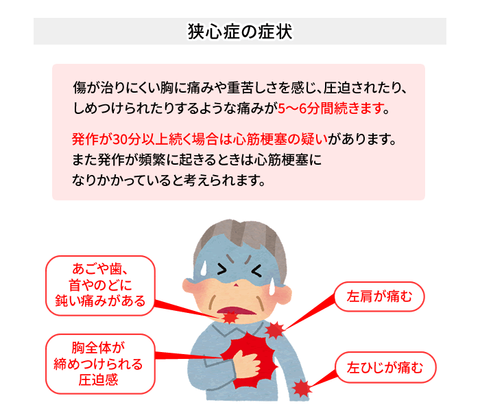 A、首筋付近から腰（頸椎から腰椎）にかけて脊柱に沿った痛み