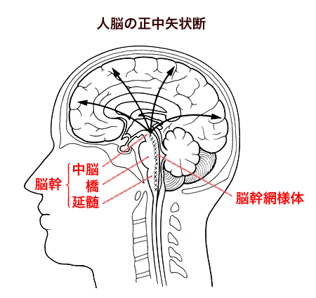 パズルで診断子どもの病気