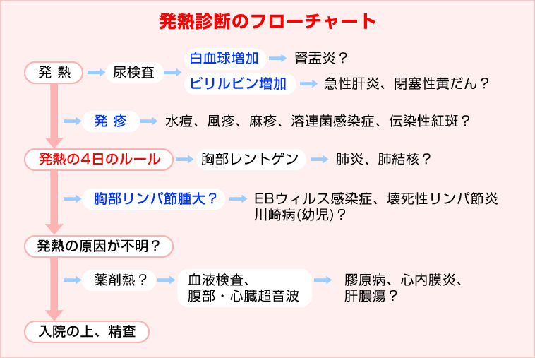 発熱10 12 よく見られる症状と診察のポイント 町医者の診療メモ みやけ内科 循環器科