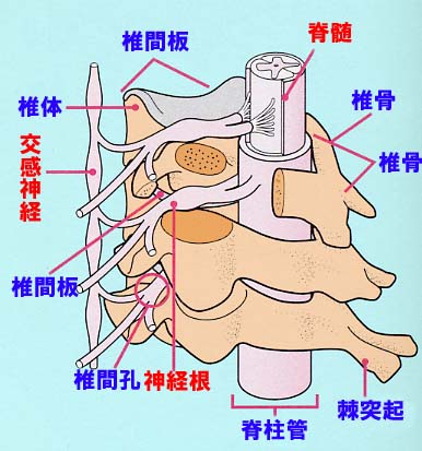 次へ