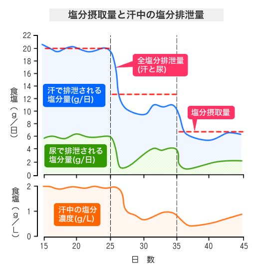 熱中症と塩分補給