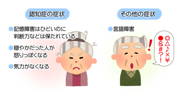 いろいろある認知症 1 脳の働きと認知症の種類 診断について みやけ内科 循環器科