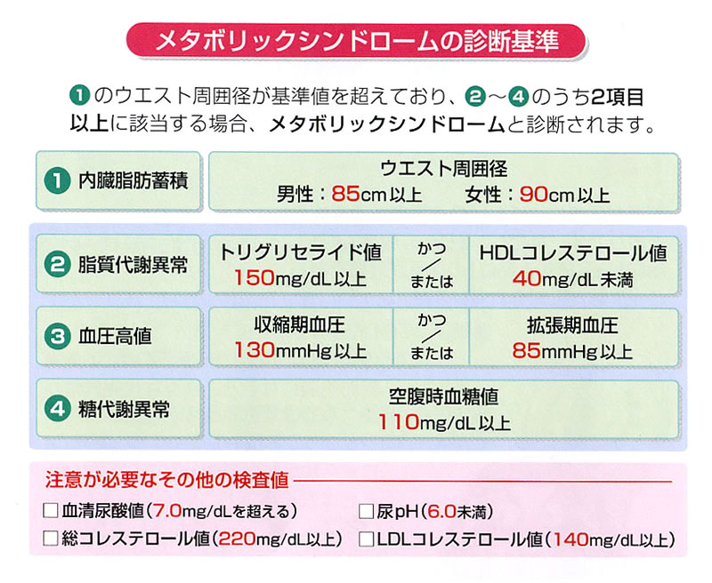 内臓脂肪とメタボリックシンドローム