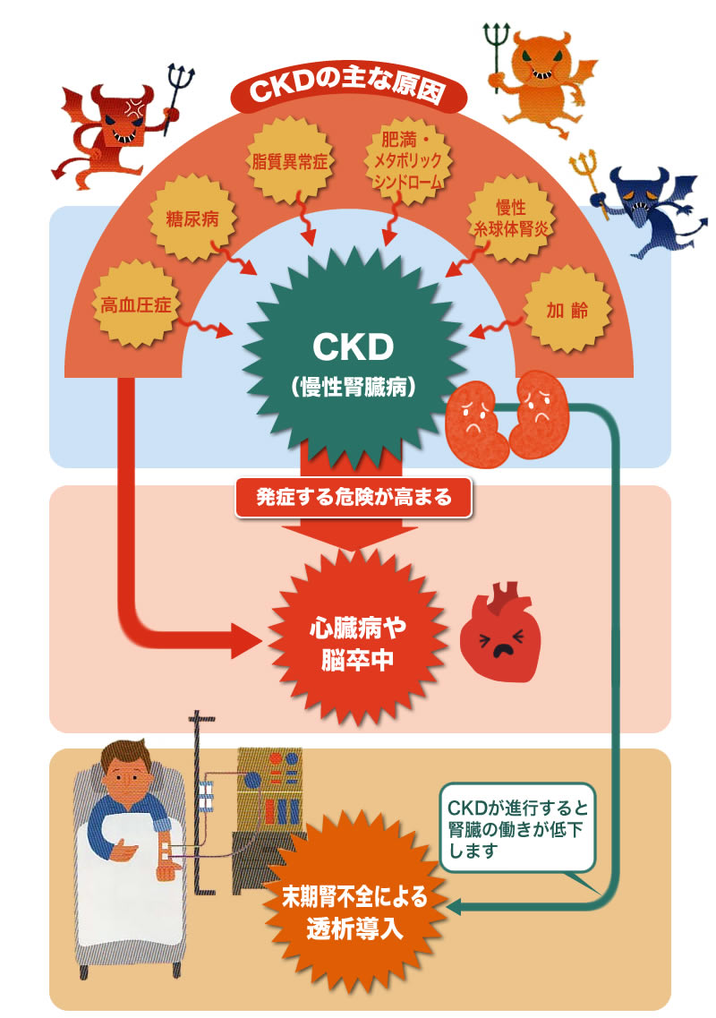 （イラスト：CKD慢性腎臓病）