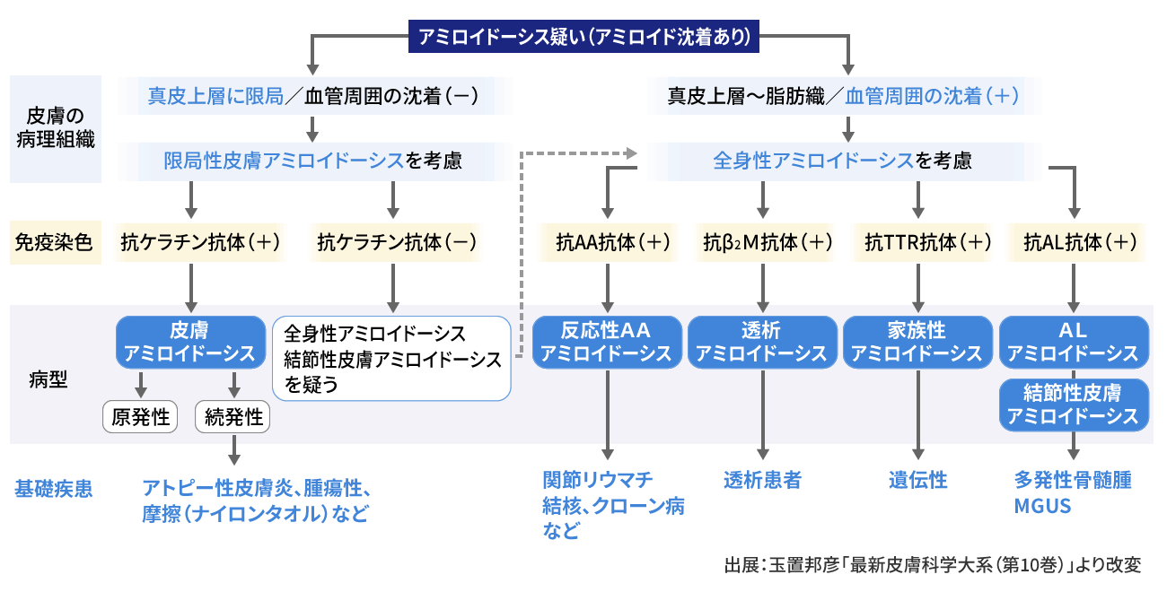 アミロイドーシスの診断