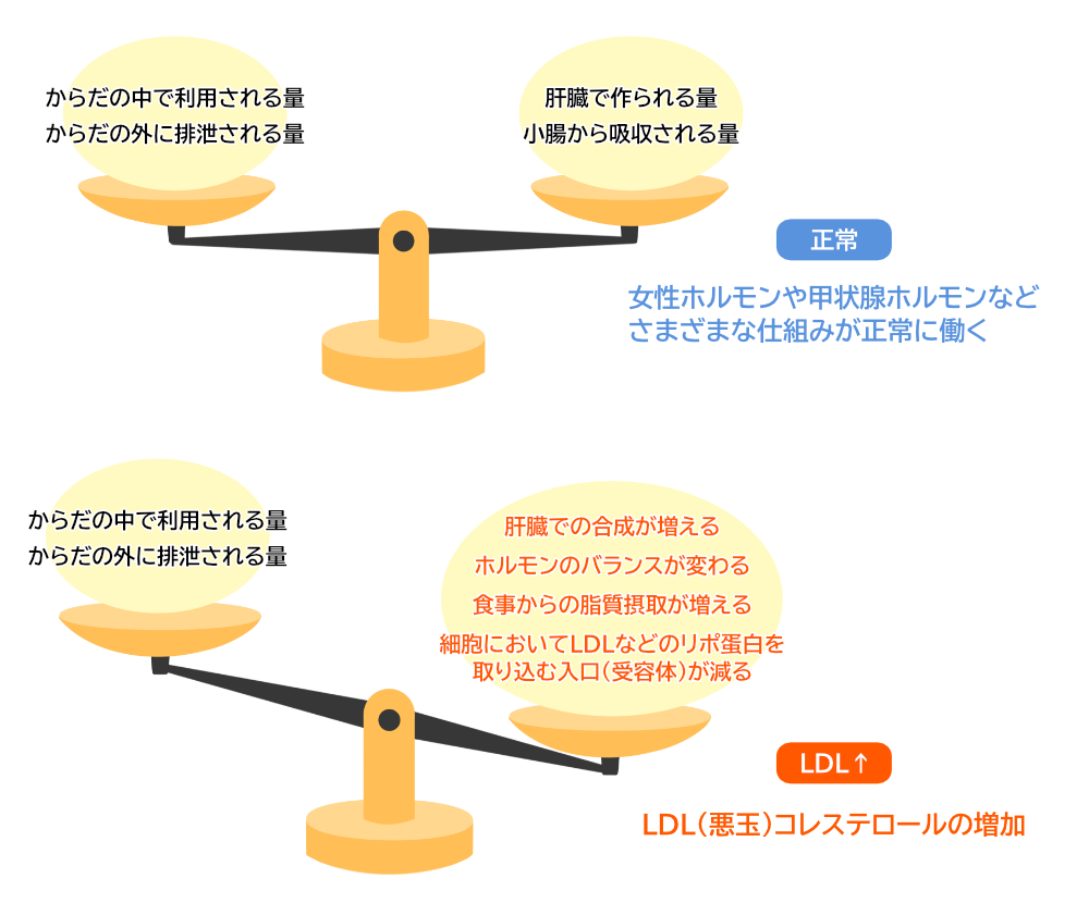 LDL(悪玉)コレステロールが増加する理由
