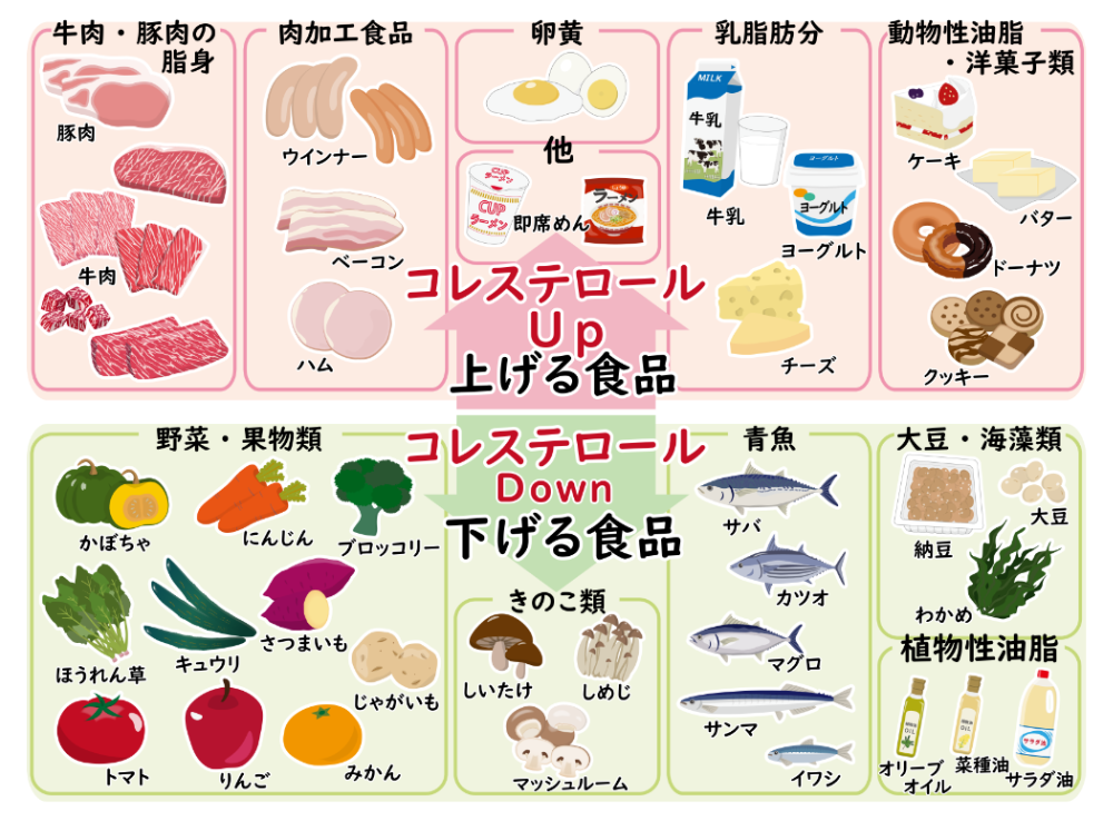 コレステロールと食品