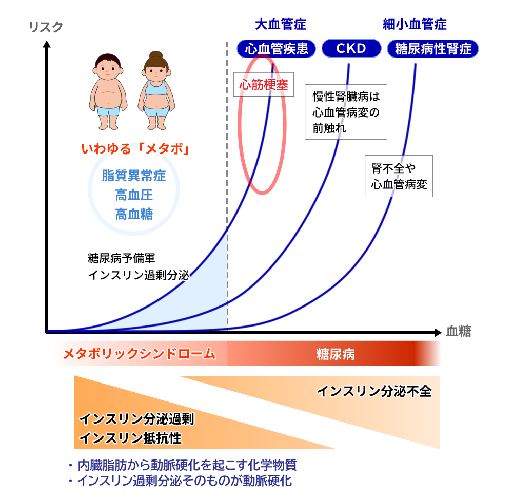 メタボと糖尿病・心筋梗塞