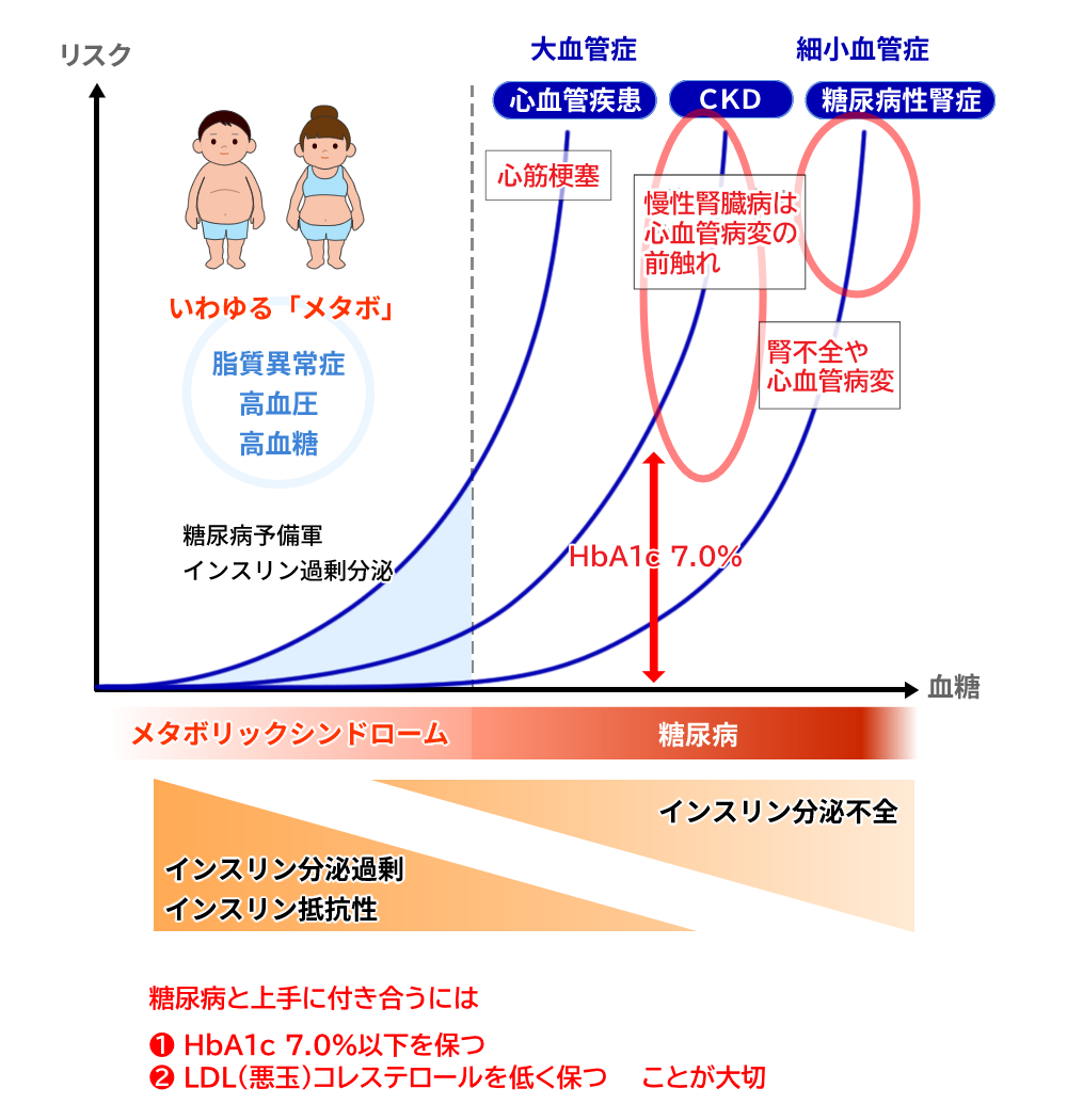 メタボと糖尿病・慢性腎臓病