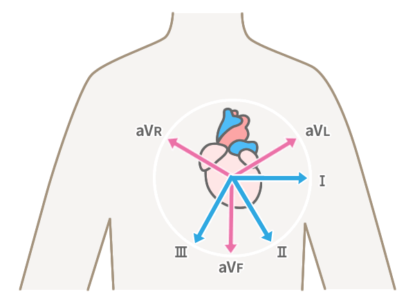 右室を表す誘導