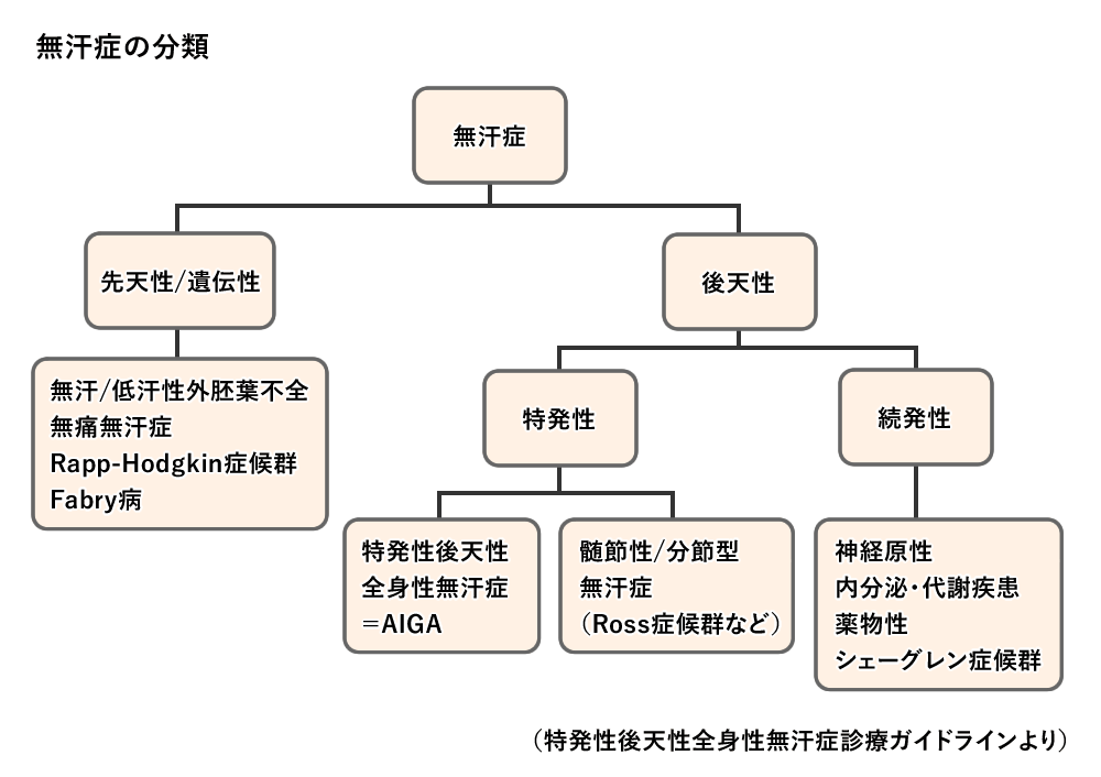 発汗障害とコリン性蕁麻疹