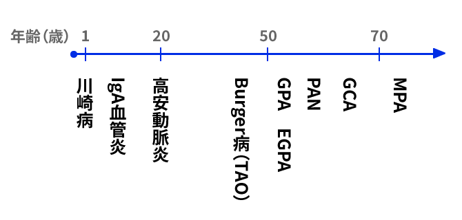 血管炎の好発年齢