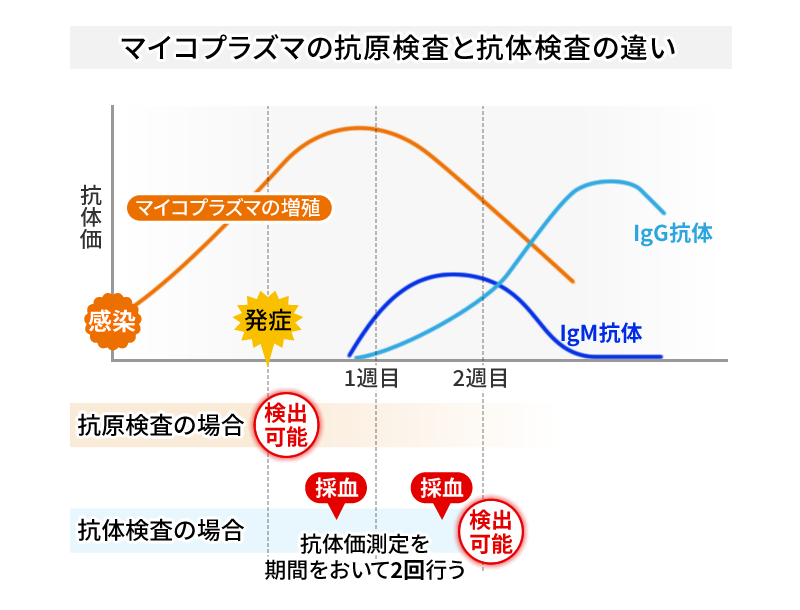 マイコプラズマの抗原検査と抗体検査の違い